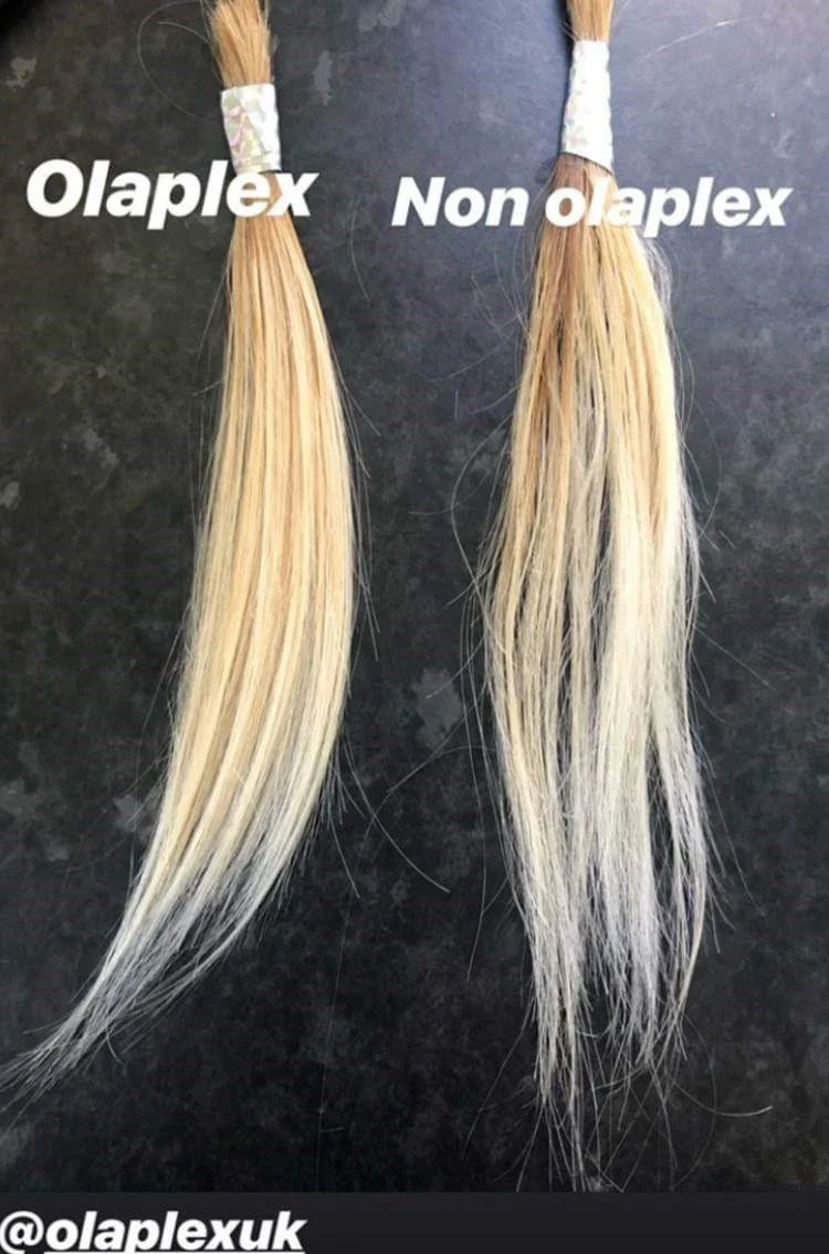 olaplex blog